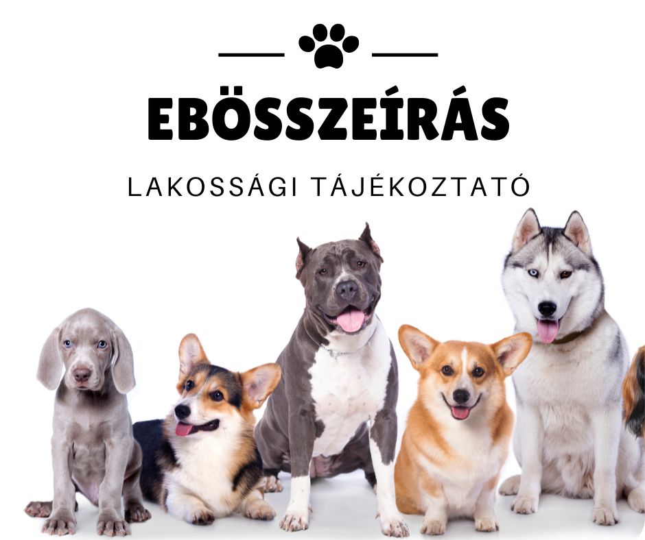 Ebösszeírás - 2024